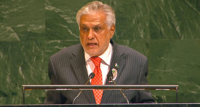 دو ریاستی حل سے متعلق کانفرنس میں پاکستان کا فلسطین کو یو این کی مکمل رکنیت دینے کا مطالبہ