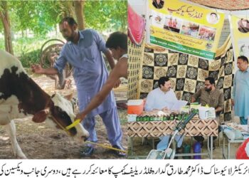 لیہ:ڈاکٹر طارق گدارہ کا فلڈ ریلیف ویٹرنری کیمپس کا دورہ