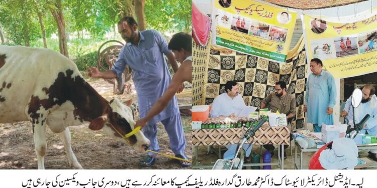 لیہ:ڈاکٹر طارق گدارہ کا فلڈ ریلیف ویٹرنری کیمپس کا دورہ