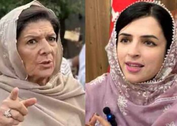 پی ٹی آئی میں اندرونی اختلافات نمایاں، مشال یوسفزئی کا علیمہ خان کے بیٹے پر طنز