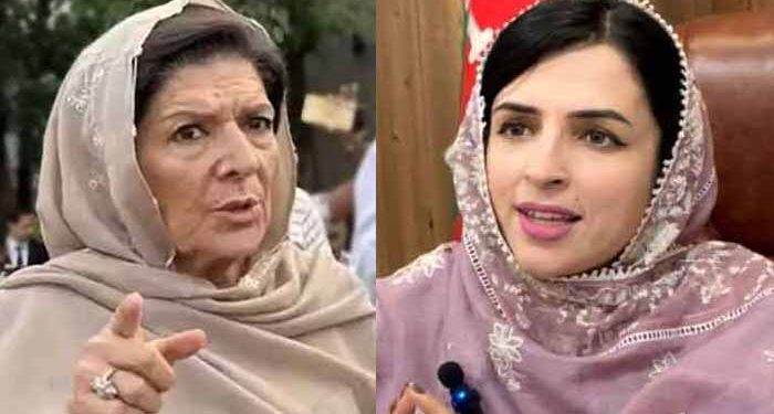 پی ٹی آئی میں اندرونی اختلافات نمایاں، مشال یوسفزئی کا علیمہ خان کے بیٹے پر طنز