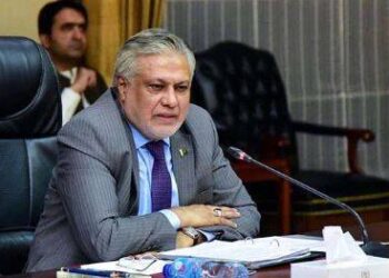 پاکستان نے بھارت کو منہ توڑ جواب دیا، اقوام متحدہ میں بھی اہم کامیابی حاصل کی: نائب وزیراعظم اسحاق ڈار