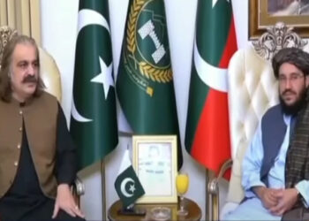 وزیراعلیٰ علی امین گنڈا پور سے افغانی سفیر کی ملاقات، علاقائی استحکام پر تبادلہ خیال