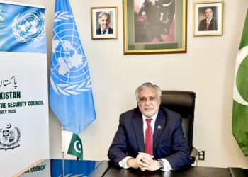 جموں وکشمیر کے حل کے بغیر خطے میں امن نہیں ہوسکتا، اسحاق ڈار