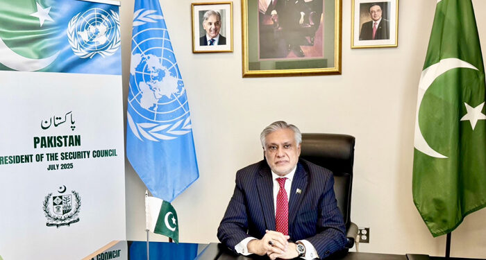 جموں وکشمیر کے حل کے بغیر خطے میں امن نہیں ہوسکتا، اسحاق ڈار