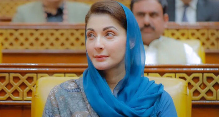 وزیراعلیٰ پنجاب کا بارش متاثرین کیلئے فی خاندان 10 لاکھ روپے امداد کا اعلان