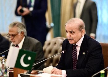 مسئلہ کشمیر کا حل ہی جنوبی ایشیا کے پائیدار امن کی کلید ہے: وزیراعظم