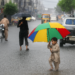 ملک بھر میں 5 جولائی تک وقفے وقفے سے بارشوں کی پیشگوئی
