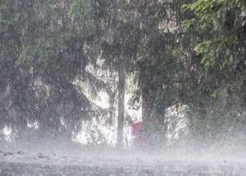 پنجاب میں موسلا دھار بارشوں کا سلسلہ، لاہور میں چھت گرنے سے شہری جان کی بازی ہار گیا