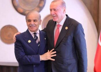 شہباز شریف اور اردوان کی ملاقات، دوطرفہ تعاون مزید بڑھانے پر اتفاق