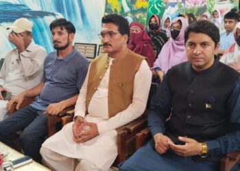 یوم استحصال کشمیر، مقبوضہ کشمیر میں بھارتی مظالم کے خلاف سیمینار اور ریلی