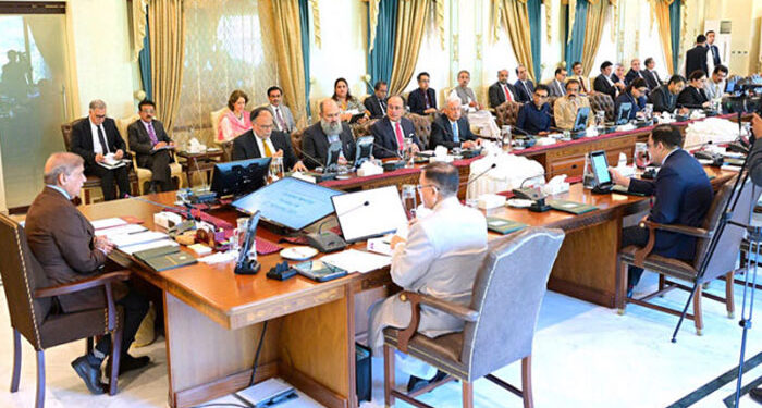 وفاقی حکومت کا 24 سرکاری اداروں کی نجکاری کا فیصلہ