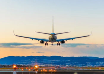 اسلام آباد سے کراچی آنیوالی پرواز سے پرندہ ٹکرا گیا، طیارہ گراؤنڈ