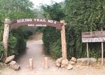 اسلام آباد: بارشوں کے باعث مارگلہ ہلز کی ٹریلز بند کردی گئیں