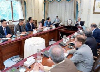 وزیراعظم شہباز شریف کی چینی صنعتکاروں کو سرمایہ کاری کی دعوت,خصوصی اقتصادی زونز میں سرمایہ کاروں کو مکمل سہولیات کی یقین دہانی