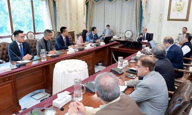 وزیراعظم شہباز شریف کی چینی صنعتکاروں کو سرمایہ کاری کی دعوت,خصوصی اقتصادی زونز میں سرمایہ کاروں کو مکمل سہولیات کی یقین دہانی