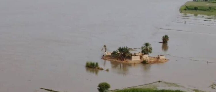 دریائے سندھ اور ستلج میں سیلابی صورتحال تشویشناک، بستیاں دریا برد، زمینی رابطے منقطع
