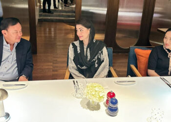 مریم نواز کی تھائی لینڈ کی کاروباری برادری کو سرمایہ کاری کی دعوت