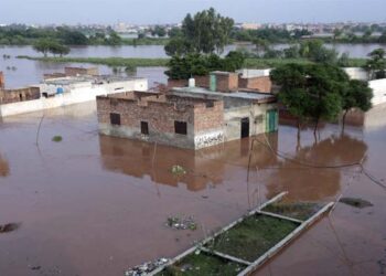 پنجاب کے 3 بپھرے دریاؤں نے تباہی مچادی، لوگ ڈوبے مکانوں کی چھتوں پر پناہ لینے پر مجبور، اموات 20 ہوگئیں