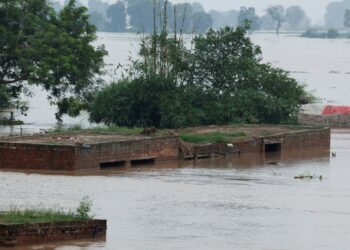 گنڈا سنگھ والا پر اونچے درجے کا سیلاب، پنجاب کے دریاؤں میں پانی کا بہاؤ تیز، ملحقہ دیہات خالی کرانے کیلئے اعلانات