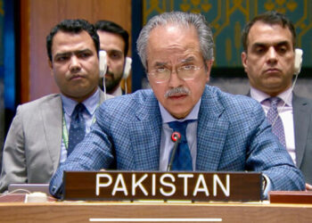 غزہ فلسطینیوں کا ہے اور رہے گا، سلامتی کونسل میں پاکستان کی اسرائیلی منصوبے کی مخالفت