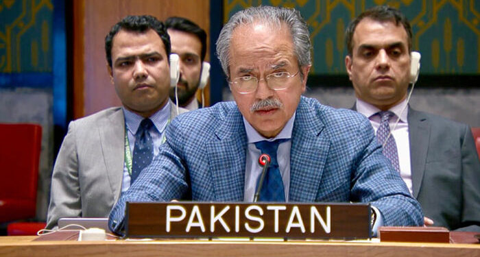 غزہ فلسطینیوں کا ہے اور رہے گا، سلامتی کونسل میں پاکستان کی اسرائیلی منصوبے کی مخالفت