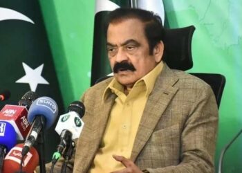 رانا ثنااللہ نے پی ٹی آئی سے یوم آزادی پر احتجاج نہ کرنے کی اپیل کردی