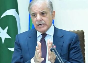 سیلاب متاثرہ اضلاع میں بجلی کی بلا تعطل فراہمی کیلئے وزیراعظم کا حکم