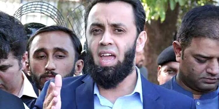 نواز شریف کی قیادت میں ترقی کاسفر جاری رکھیں گے: عطا تارڑ