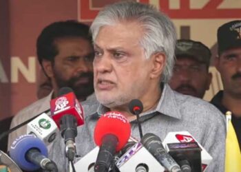 بھارت کی مقبوضہ کشمیر کو دیگر ریاستوں کی طرح بنانیکی کوشش قبول نہیں کرینگے: اسحاق ڈار