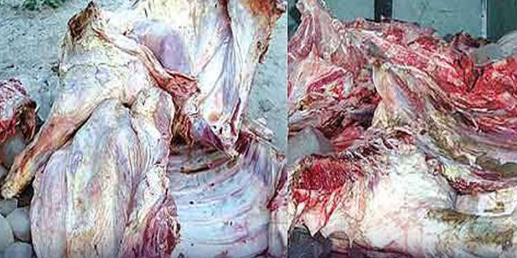 اسلام آباد کے بعد قصور سے بھی کئی من گدھے کا گوشت برآمد