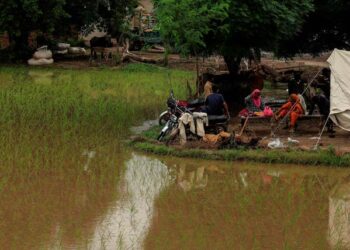 بھارت نے ستلج میں مزید پانی چھوڑ دیا، سیلابی ریلے سے پنجاب کے 9 اضلاع ہائی الرٹ