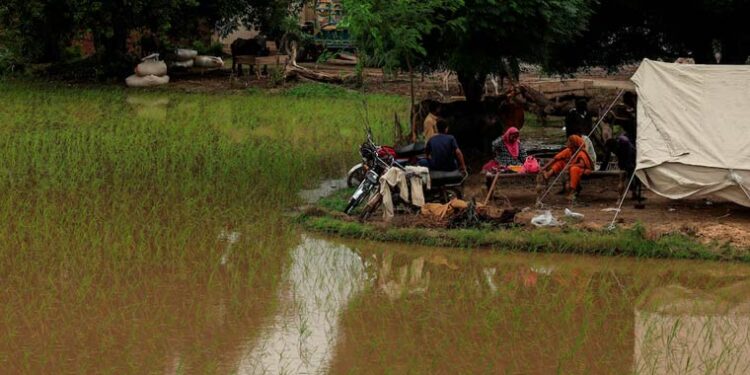 بھارت نے ستلج میں مزید پانی چھوڑ دیا، سیلابی ریلے سے پنجاب کے 9 اضلاع ہائی الرٹ