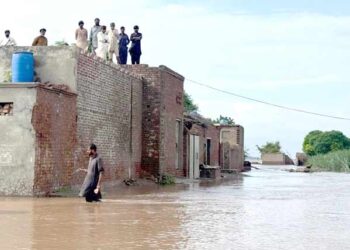 چناب، راوی اور ستلج میں سیلاب نے تباہی کی نئی داستانیں رقم کردیں، 41 افراد جاں بحق