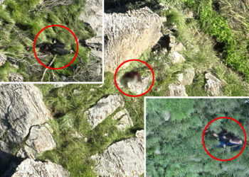 سکیورٹی فورسز کی پختونخوا میں کارروائیاں، فتنہ الہندوستان کے 19 خوارج ہلاک