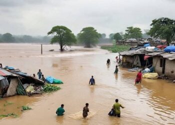 سیلاب کی تباہ کاریاں : پنجاب و سندھ کے درجنوں علاقے زیرِ آب، سینکڑوں بستیاں متاثر