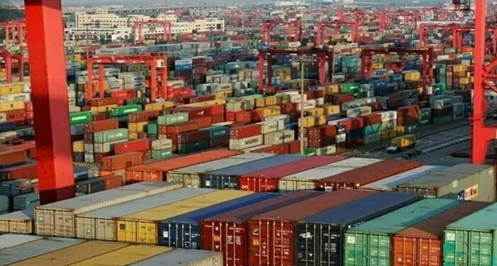 کسٹمز میں بڑے پیمانے پر بے ضابطگیوں اور ٹیکس چوری کا انکشاف، 100 ارب روپے کا نقصان