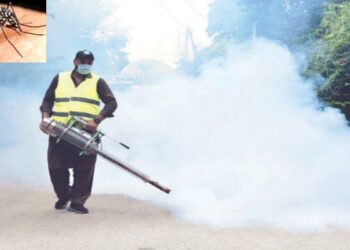 راولپنڈی: انسداد ڈینگی مہم، جعلی تصاویر بھیج کر حاضریاں لگانے والے 12 اہلکار اور سپروائزر برطرف