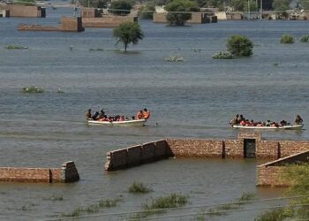 پنجاب کے مختلف اضلاع میں سیلاب کی تباہ کاریاں، انسانی جانیں اور زرعی معیشت شدید متاثر