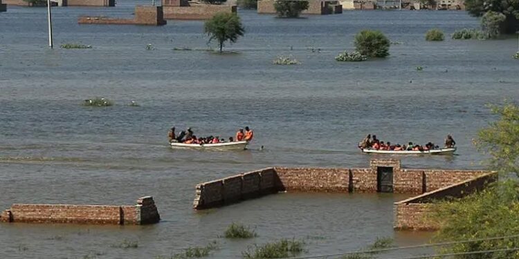 پنجاب کے مختلف اضلاع میں سیلاب کی تباہ کاریاں، انسانی جانیں اور زرعی معیشت شدید متاثر