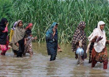 بھارت کی جانب سے پانی چھوڑنے کے بعد پنجاب میں سیلابی صورتحال سنگین، درجنوں علاقے زیر آب