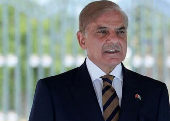 مسئلہ کشمیر حل کیے بغیر پاک بھارت تعلقات قائم نہیں ہوسکتے: وزیر اعظم شہباز شریف