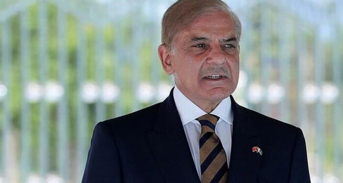 مسئلہ کشمیر حل کیے بغیر پاک بھارت تعلقات قائم نہیں ہوسکتے: وزیر اعظم شہباز شریف