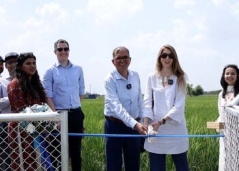 اوکاڑہ میں برطانوی ہائی کمشنر کا کلامیٹ اسمارٹ فارمنگ ٹاور کا افتتاح