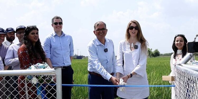 اوکاڑہ میں برطانوی ہائی کمشنر کا کلامیٹ اسمارٹ فارمنگ ٹاور کا افتتاح