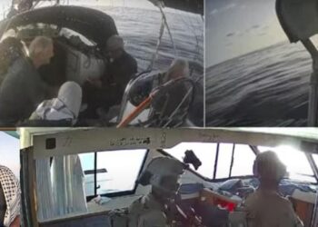 غزہ جانیوالے گلوبل صمود فلوٹیلا پر اسرائیل کا دھاوا، سابق پاکستانی سینیٹر سمیت درجنوں گرفتار، ایک کشتی کا غزہ کی حدود میں پہنچنے کا دعویٰ