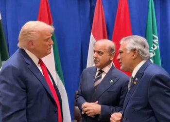 امریکی صدر ٹرمپ کے شکر گزار ہیں، فلسطین میں جنگ بندی کے قریب ہیں: شہباز شریف