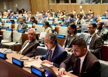 پاکستان کا اقوام متحدہ میں غزہ سے کشمیر تک حق خودارادیت کے تحفظ کا بھرپور مطالبہ