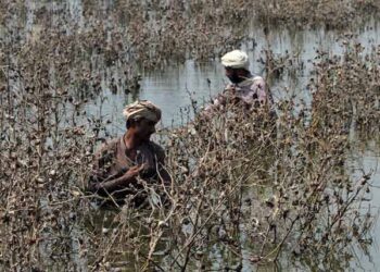 تغیراتی موسمیاتی تبدیلی سے بچاؤ کیلئے ماحولیاتی مالکاری پاکستان کا حق ہے: ڈاکٹر محمد فیصل