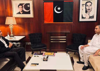 محسن نقوی کی بلاول بھٹو سے ملاقات، ملکی استحکام کیلئے ملکر کام کرنے کا عزم